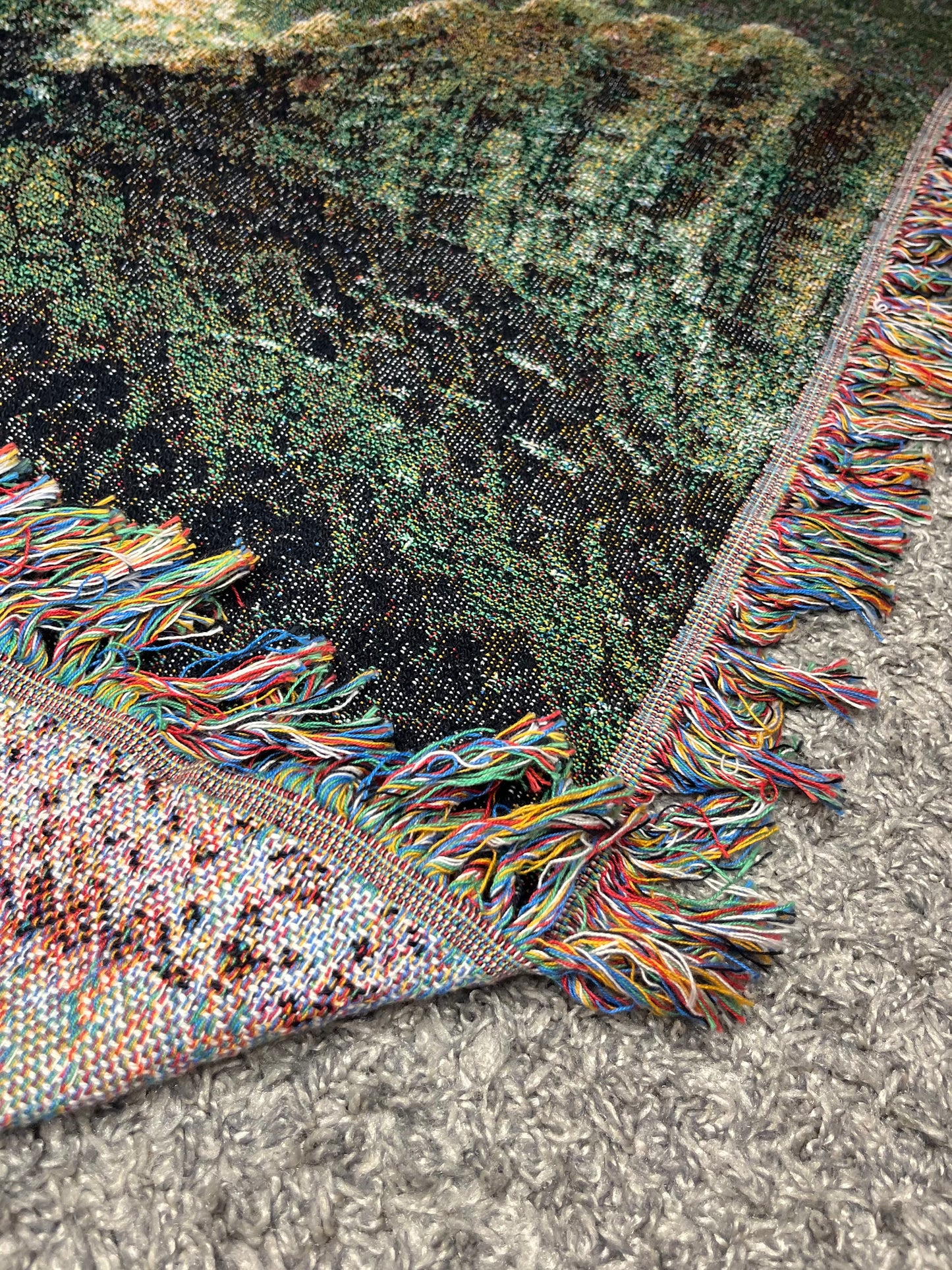 Jurassic Park Spinosaurus Blanket™